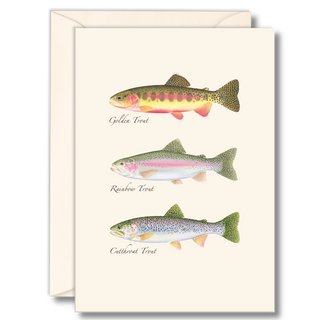 Trout notecard featuring three western freshwater species, illustrated by experts