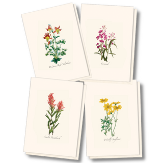 Western wildflower assortment notecards celebrating regional blooms, packaged sustainably