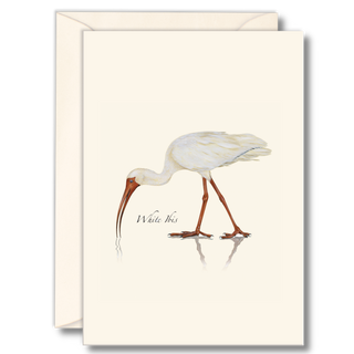 White ibis notecard featuring a graceful wetland bird
