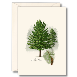 White pine notecard inspired by tall evergreen forests, made in the USA