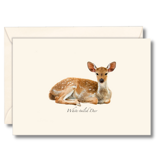White-tailed deer notecard inspired by woodland wildlife, made in the USA