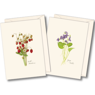 Wildflower notecard assortment celebrating native blooms