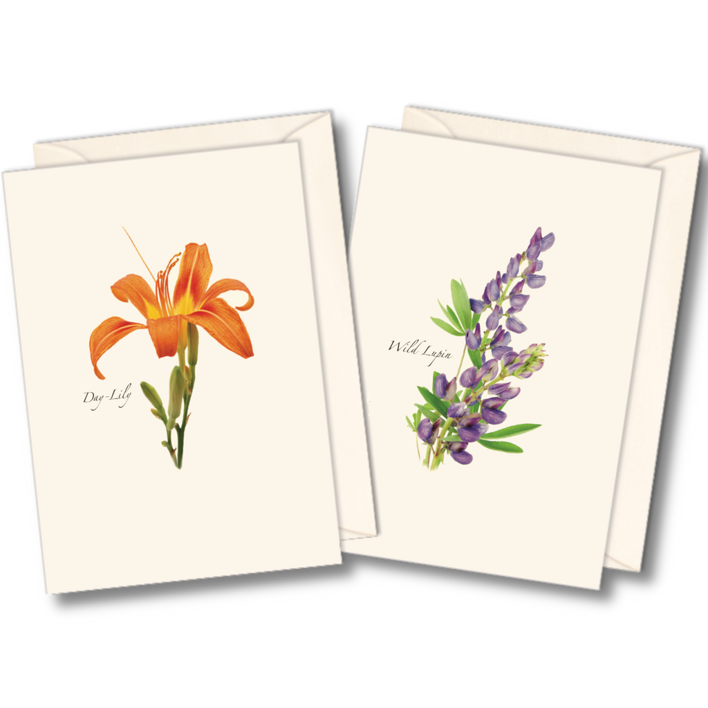 Best Selling Boxed Notecards - Wildflower Assortment