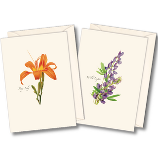 Wildflower notecard assortment celebrating seasonal flowers
