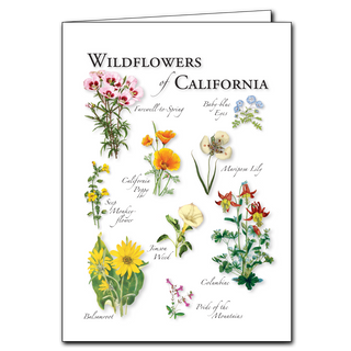 California wildflowers greeting card showcasing diverse regional blooms