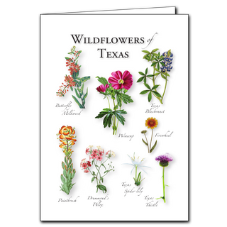 Wildflowers of Texas greeting card. Educational nature illustration on recycled paper