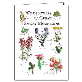 Great Smoky Mountains wildflowers greeting card celebrating mountain flora