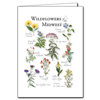 Detailed Wildflowers of the Midwest illustration by expert artists. Printed on recycled paper
