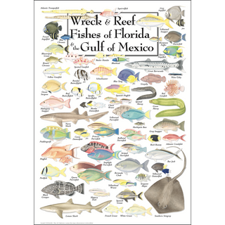 Richly detailed Wreck & Reef Fishes of Florida & the Gulf of Mexico Poster, proudly made in the USA for nature hobbyists.